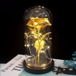 Rose gold night light