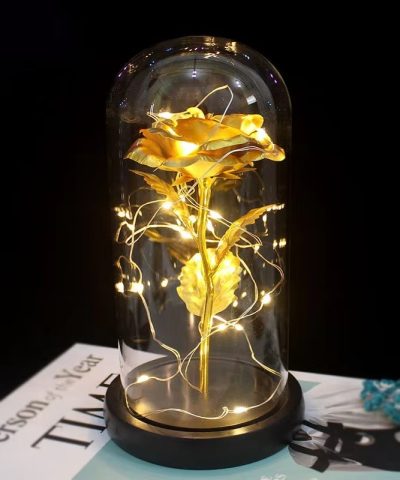 Rose gold night light