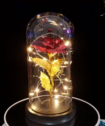 Rose gold night light